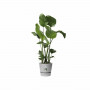 Plant pot Elho Greenville Ø 24,48 cm Plastic