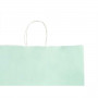 Busta di Carta Verde 32 X 12 X 50 cm (100 Unità)