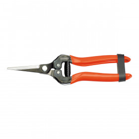 Forbici da Giardino Stocker Raccolta di frutta e verdura Uva 19 cm Acc