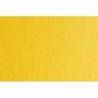 Papier carton Sadipal LR 220 Jaune Texturisée 50 x 70 cm (20 Unités)