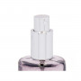 Diffusore Spray Per Ambienti Eucalipto Menta 70 ml (12 Unità)