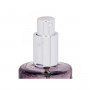Diffusore Spray Per Ambienti Lavanda 70 ml (12 Unità)