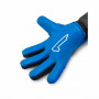 Goalkeeper Gloves Rinat Kratos Turf Blue