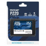 Disque dur Patriot Memory P220 256GB 256 GB SSD sur la caverne des pri