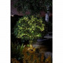 Guirlande lumineuse LED Super Smart Luciole Solaire Vert tendre sur la