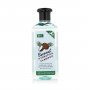 Moisturizing Shampoo Xpel Coconut 400 ml