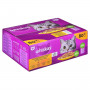 Comida para gato Whiskas Jelly Pollo Pavo Pato Aves