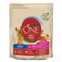 Hundefutter Purina One Mini Erwachsener Rindfleisch 800 g