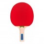 Racchetta da ping pong Atipick RQP40403