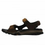 Mountain sandals Timberland Winsor Trail Brown