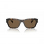 Men's Sunglasses Vogue VO 5530S