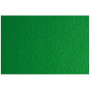 Cartoncini Sadipal LR 200 Verde scuro Testurizzato 50 x 70 cm (20 Unit