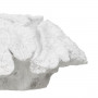 Figurine Décorative Blanc Corail 23 x 22 x 11 cm sur la caverne des p