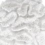 Figurine Décorative Blanc Corail 23 x 22 x 11 cm sur la caverne des p