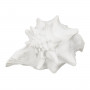 Figurine Décorative Blanc Conque 21 x 19 x 13 cm sur la caverne des p