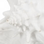 Figurine Décorative Blanc Conque 21 x 19 x 13 cm sur la caverne des p