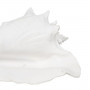 Figurine Décorative Blanc Conque 21 x 19 x 13 cm sur la caverne des p