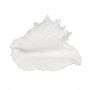 Figurine Décorative Blanc Conque 21 x 19 x 13 cm sur la caverne des p