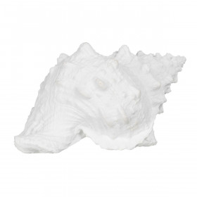 Statua Decorativa Bianco Conchiglia 21 x 14 x 12 cm