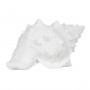 Figurine Décorative Blanc Conque 21 x 14 x 12 cm sur la caverne des p