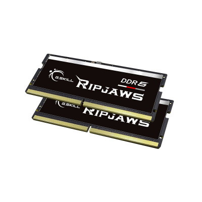 Mémoire RAM GSKILL F5-4800S4039A16GX2-RS DDR5 32 GB CL40 sur la caver