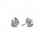 Ladies' Earrings Pandora 292990C01