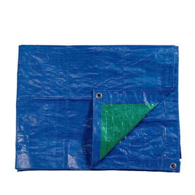 Auvent EDM Bleu Vert Polyester 90 g/m² 8 x 12 m sur la caverne des pr