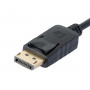 Adattatore DisplayPort con VGA iggual IGG319062