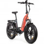 Electric Bike Youin 250 W 20" 25 km/h