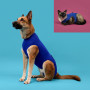 T-shirt de récupération pour animaux de compagnie KVP Bleu 45-53 cm