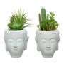 Plante décorative PVC Céramique Succulent