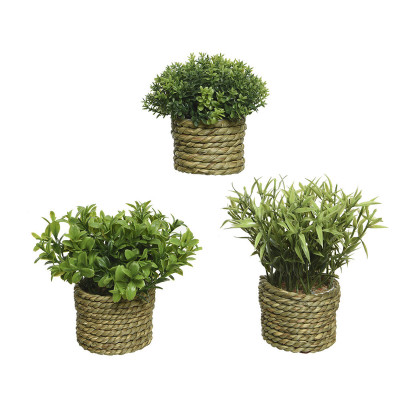 Plante décorative Basic Home Artificielle Corde Vert 16 x 3 cm