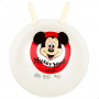 Boule à sauter Mickey Mouse Ø 45 cm (10 Unités) sur la caverne des 