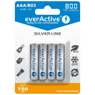Piles Rechargeables EverActive EVHRL03-800 R03 AAA 1,2 V sur la cavern