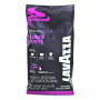 Café en Grano Gusto Forte Expert 1 kg