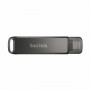 Clé USB  SanDisk SDIX70N-256G-GN6NE     Noir 256 GB