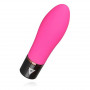 Bullet Vibrator Lil'vibe Pink/Black