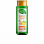 Tiefenreinigendes Shampoo Naturvital Eco Zitronengelb Ingwer (300 ml)