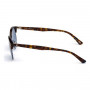 Unisex Sunglasses WEB EYEWEAR WE0235-91V Blue Havana (ø 49 mm)