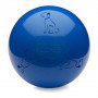 Jouet pour chien Company of Animals Boomer Bleu (250mm)