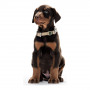 Collier pour Chien Hunter Alu-Strong Noir Taille M (40-55 cm) sur la c
