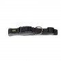 Collier pour Chien Noir sur la caverne des prix
