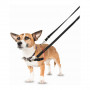 Hundegeschirr Company of Animals Halti Schwarz/Rot Gru00f6u00dfe S (36