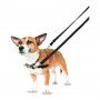Hundegeschirr Company of Animals Halti Schwarz/Rot Gru00f6u00dfe S (36