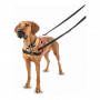 Hundegeschirr Company of Animals Halti Schwarz/Rot Gru00f6u00dfe M (58