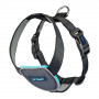 Imbracatura per Cani Company of Animals CarSafe Nero Taglia XS