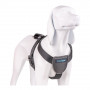 Imbracatura per Cani Company of Animals CarSafe Nero Taglia XS