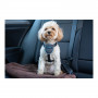 Dog Harness Company of Animals CarSafe Black XS size