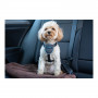 Imbracatura per Cani Company of Animals CarSafe Nero Taglia XS
