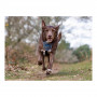 Imbracatura per Cani Company of Animals CarSafe Nero Taglia XS